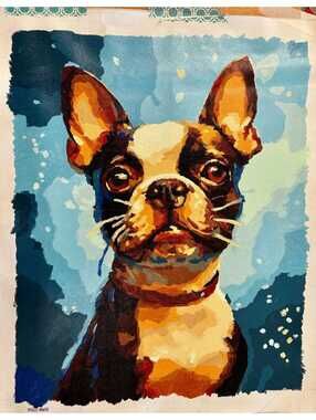 Boston Terrier on his way to Dunkin completed paint by numbers